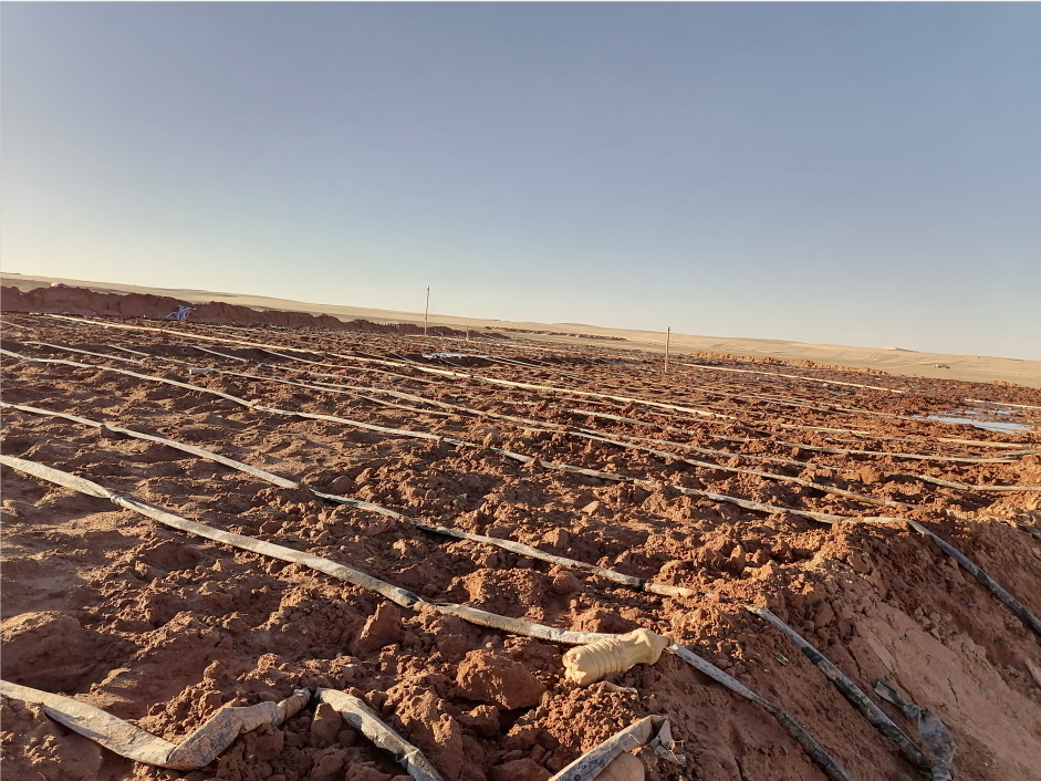 Heap leaching plant